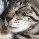 ユーザー画像