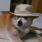 ユーザー画像