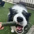 ユーザー画像