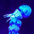 ユーザー画像