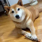 ユーザー画像