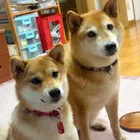 ユーザー画像