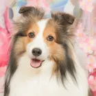ユーザー画像