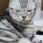 まとりょ