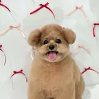 ユーザー画像