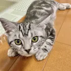 ユーザー画像