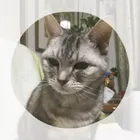 ユーザー画像