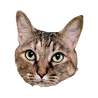 ユーザー画像