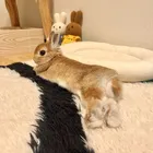 ユーザー画像
