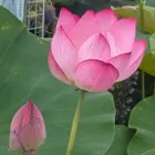 ユーザー画像