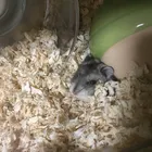 ユーザー画像