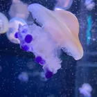 ユーザー画像