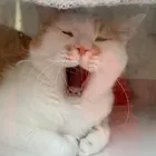 ユーザー画像