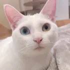 ユーザー画像