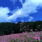 ユーザー画像