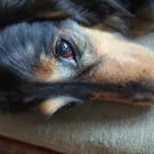 ユーザー画像