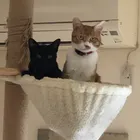 ユーザー画像