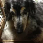 ユーザー画像