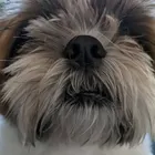 ユーザー画像