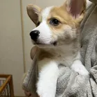 ユーザー画像