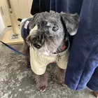ユーザー画像
