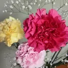 ユーザー画像
