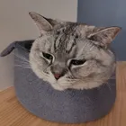 ユーザー画像