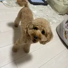 ユーザー画像