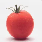 ユーザー画像