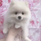 ユーザー画像