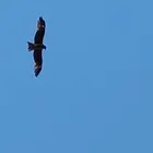 ユーザー画像