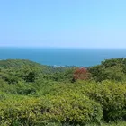 ユーザー画像