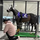 ユーザー画像