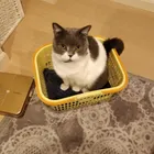 ユーザー画像