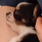 ユーザー画像