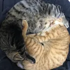 ユーザー画像