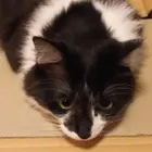 ユーザー画像