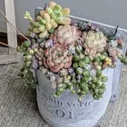 ユーザー画像