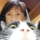 ユーザー画像