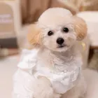 ユーザー画像