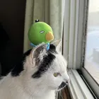 ユーザー画像