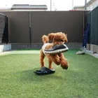 ユーザー画像