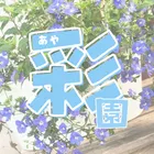 ユーザー画像