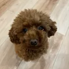 ユーザー画像