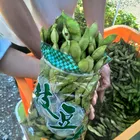 ユーザー画像