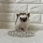 ユーザー画像