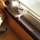 ユーザー画像