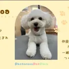 ユーザー画像