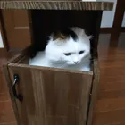 ユーザー画像