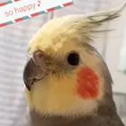 ユーザー画像